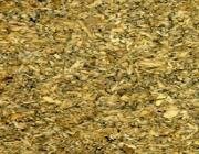 Burl